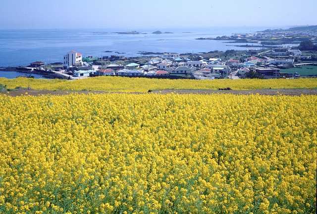 제주도 여행: 자연, 기후, 관광 그리고 지속가능한 미래