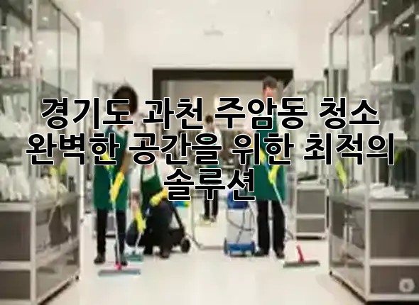 경기도 과천 주암동 청소, 완벽한 공간을 위한 최적의 솔루션 ✨