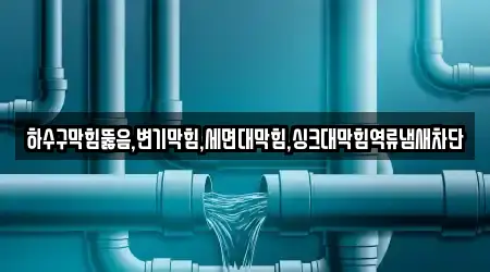 하수구막힘뚫음,변기막힘,세면대막힘,싱크대막힘역류냄새차단