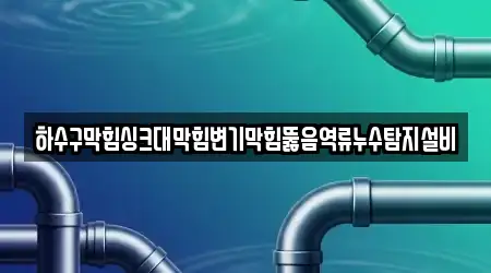 하수구막힘싱크대막힘변기막힘뚫음역류누수탐지설비